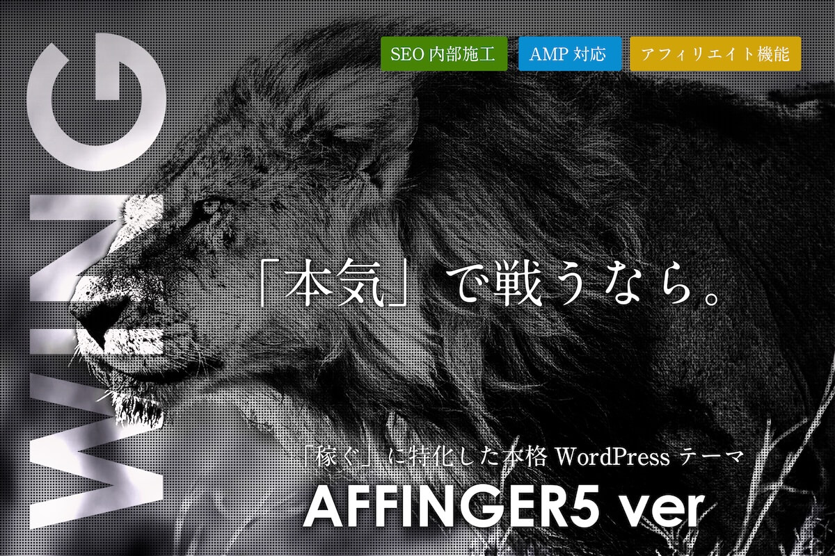 アフィンガー5の画像